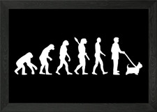 Australian Silky Terrier