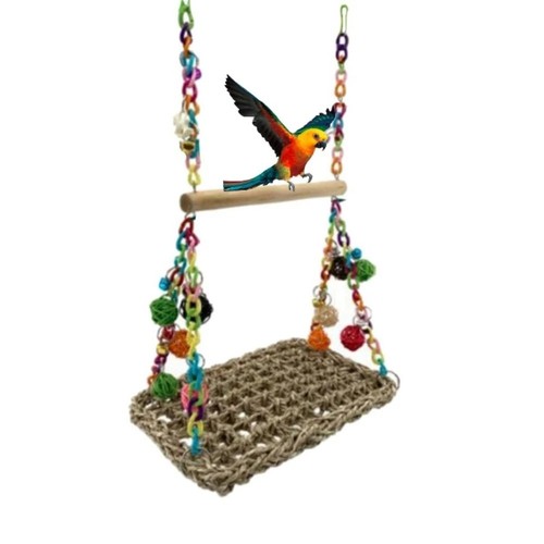 Parrot swing african grey - parrot,