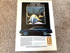 BITTER SC SPORTS CAR FRAMEABLE COLLECTIBLE WALL ART ORIGINAL CLASSIC CAR ADVERT