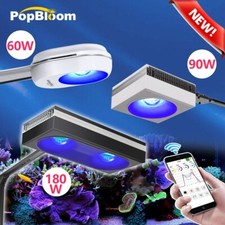 PopBloom APP Control LED