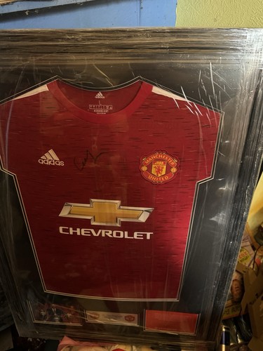 Sir alex ferguson - sir,