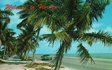 Vintage Postcard Drive Along Highways Beautiful View & Sandy Beaches Florida FL