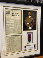 Johnson Beharry - Framed