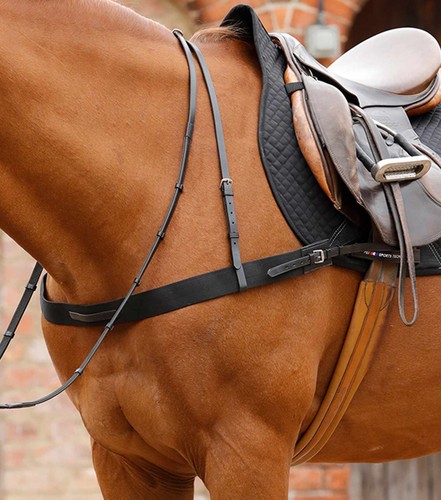 Premier equine zimella - premier, elastic