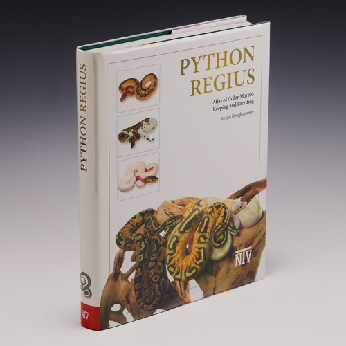 Python regius atlas colour - python, regius: