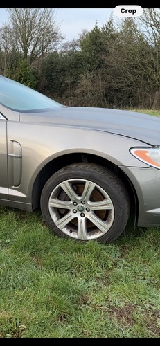 Jaguar saloon 2009 - jaguar, xf