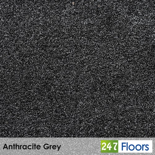 Anthracite grey soft saxony - anthracite,