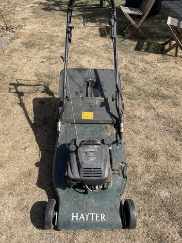 Hayter harrier petrol - 56, push