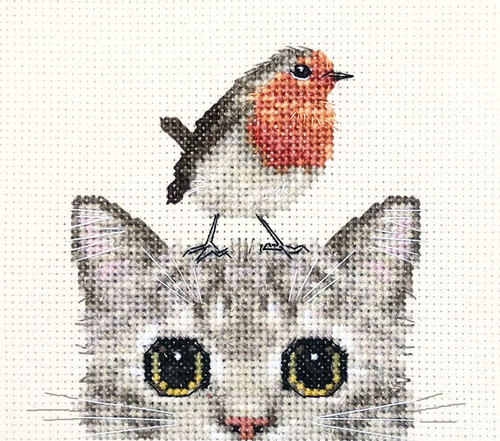 Robin bird tabby kitten - robin, cat