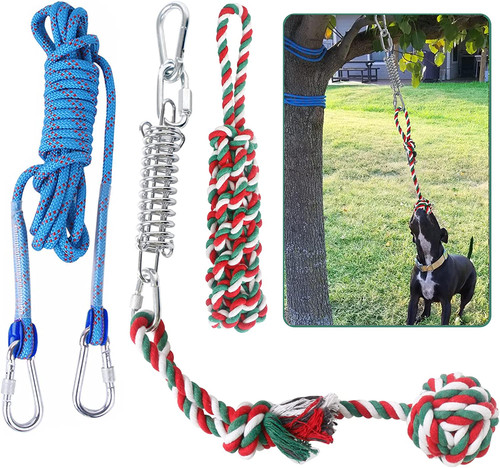 Dog outdoor bungee hanging - bungee,