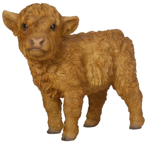 Vivid arts highland cattle - arts,