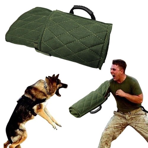 Dog bite training - dog, sleeve