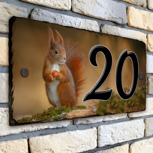 Red squirrel house number - house,