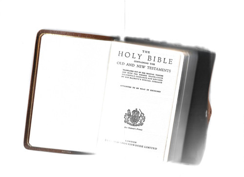 The holy bible - the, new