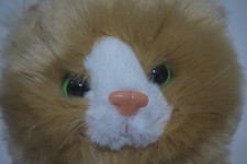 Lilibet Ginger Cat Soft Plush