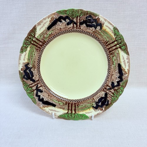 Vintage myott son co plate - myott,