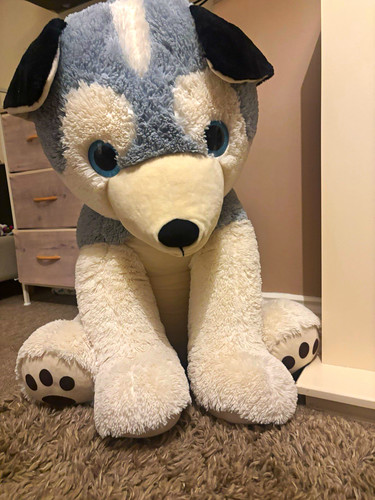 Very large grey - very,