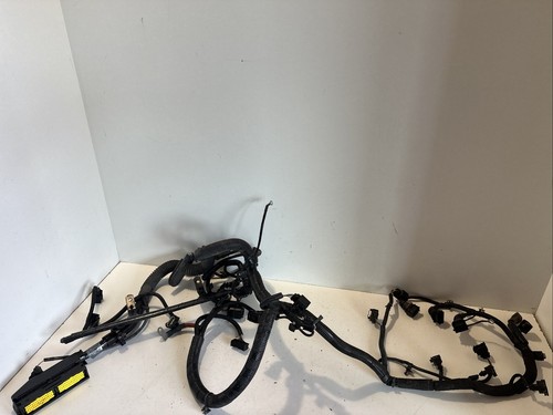 Rover engine wiring - 75, harness