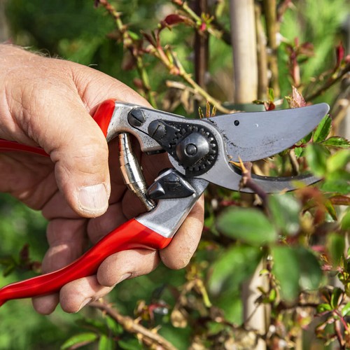 Felco secateurs no - felco,