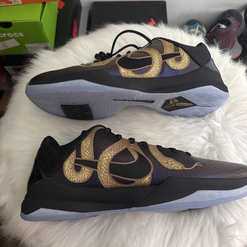Kobe proto eggplant - kobe, v