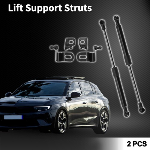 Front hood lift supports - hood,