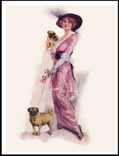 Pug glamour lady and dogs - pug,