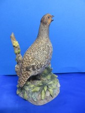 BORDER FINE ARTS  PARTRIDGE