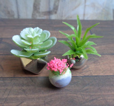 1:12 Dolls House Miniature: 3x