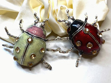 Ladybird Lucky Ladybug Insect