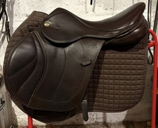 fairfax classic deluxe low