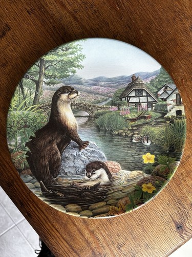 Davenport otters play - otters, by