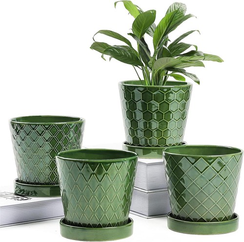 Ceramic plant pots indoor - plant,