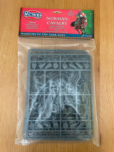 Victrix 28mm dark ages - 12,