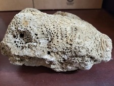 4 pound Natural Dry Reef Rock