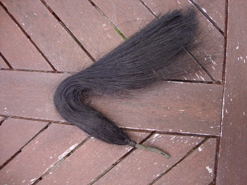 Original black horse hair - horse,
