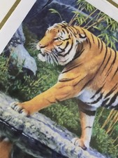 Stephen Gayford 2007 Framed Authenticity Cert Signed TIGER TIGER