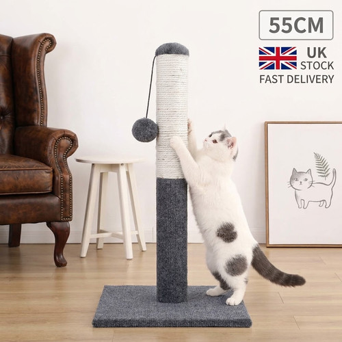 55cm cat scratch - cat, post