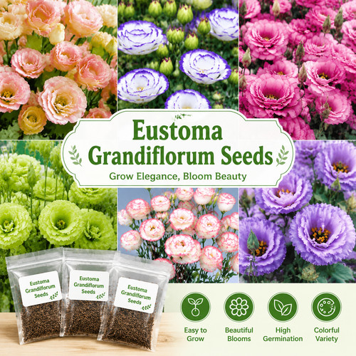 300pcs eustoma grandiflorum - eustoma,