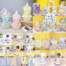 Pet Cat Dog Chihuahua Spring