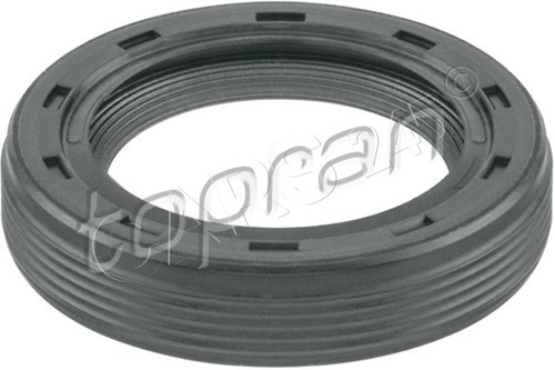 Camshaft shaft seal - shaft, for