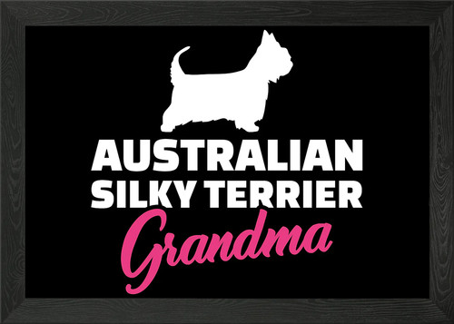 Australian silky terrier - australian,