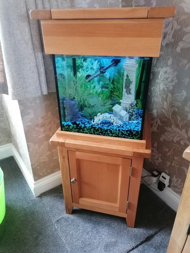 Aqua oak 80l aquarium fish - aqua,
