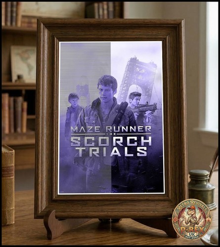 The maze runner scorch trials - the,