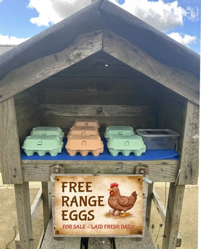 Free range fresh eggs for - free,