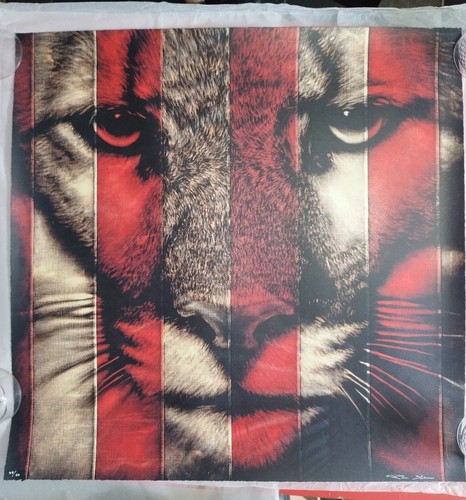 Puma limited edition - puma,