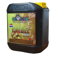 Bio Green Calgel 5L