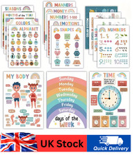 Large 16pcs Educational