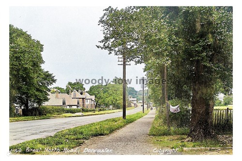 Ptc8886 yorks early view - ptc8886,