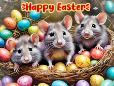 Happy Easter Greeting Card A5
