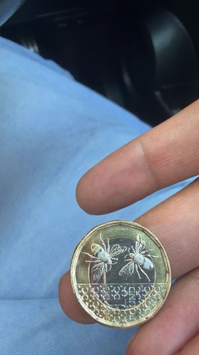 Rare british bees pound - british,